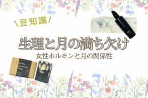 生理と月の満ち欠け✍